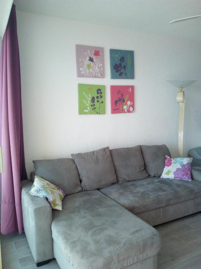 Appartement 3 Pieces Front De Mer Le Barcares Bagian luar foto
