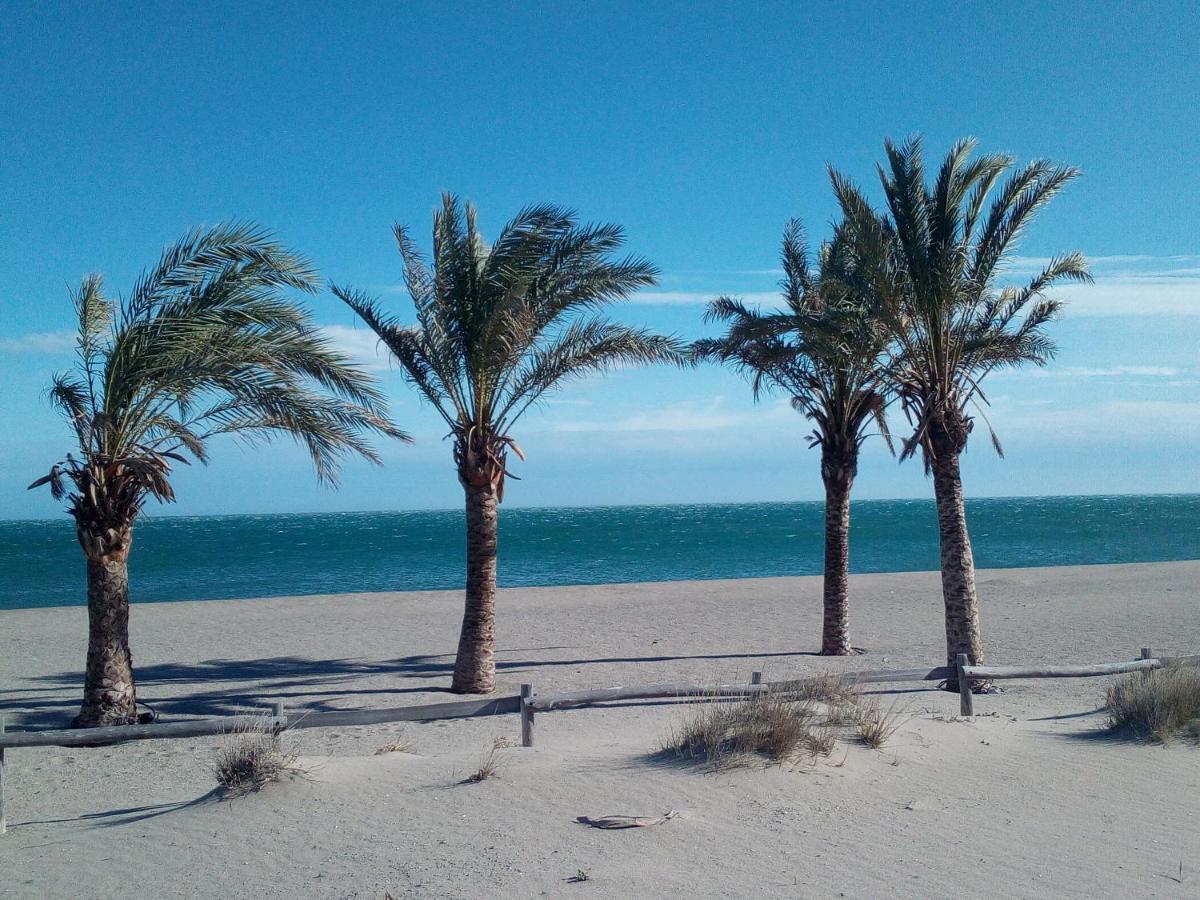 Appartement 3 Pieces Front De Mer Le Barcares Bagian luar foto
